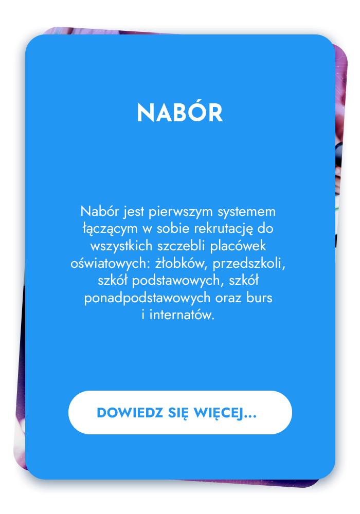 obszary-dzialania-obszary-dzialania-rekrutacja-elektroniczna-nabor-tyl